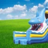 SHARK GLIJBAAN XL