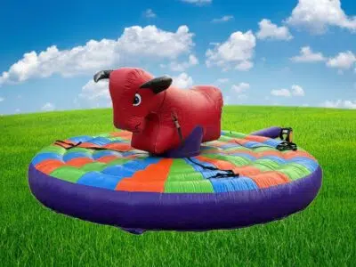 RODEO STIER